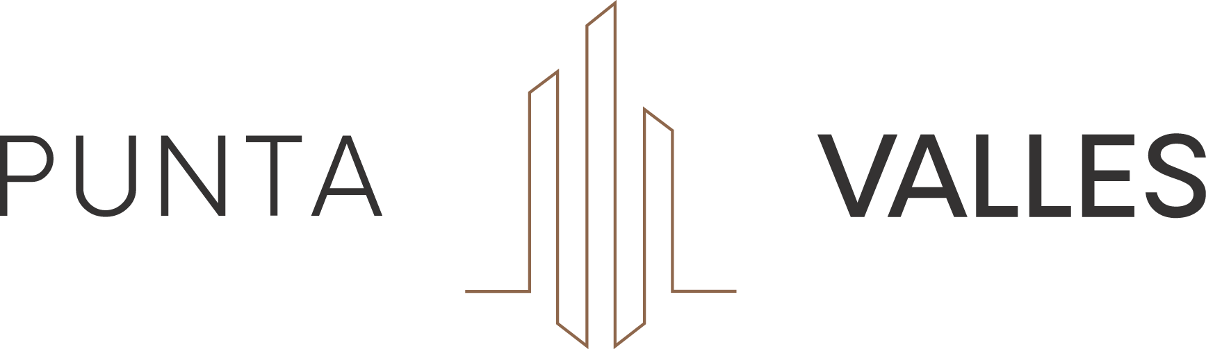 Punta Valles Logo